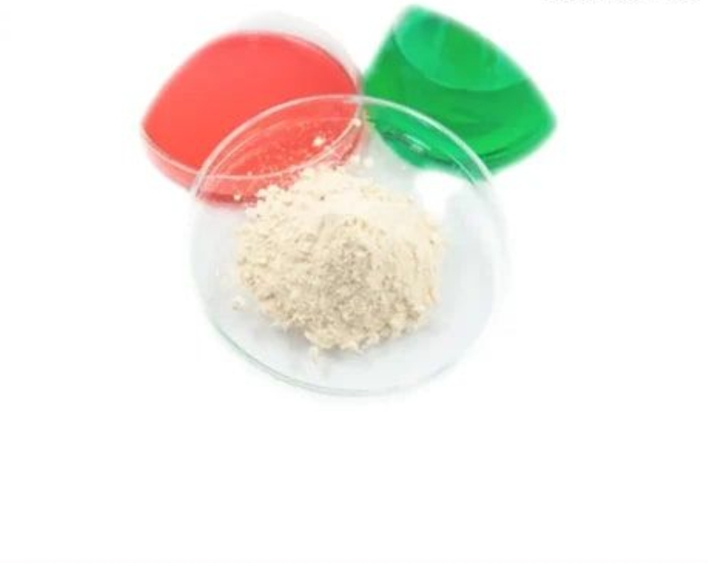 Buy 5-MMPA Powder Online